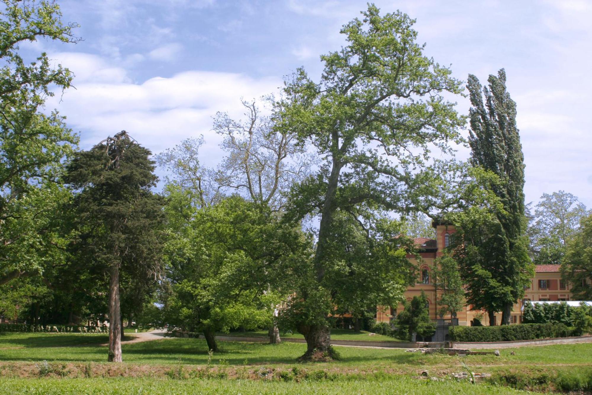 Villa Scati Bed And Breakfast Melazzo Exterior photo